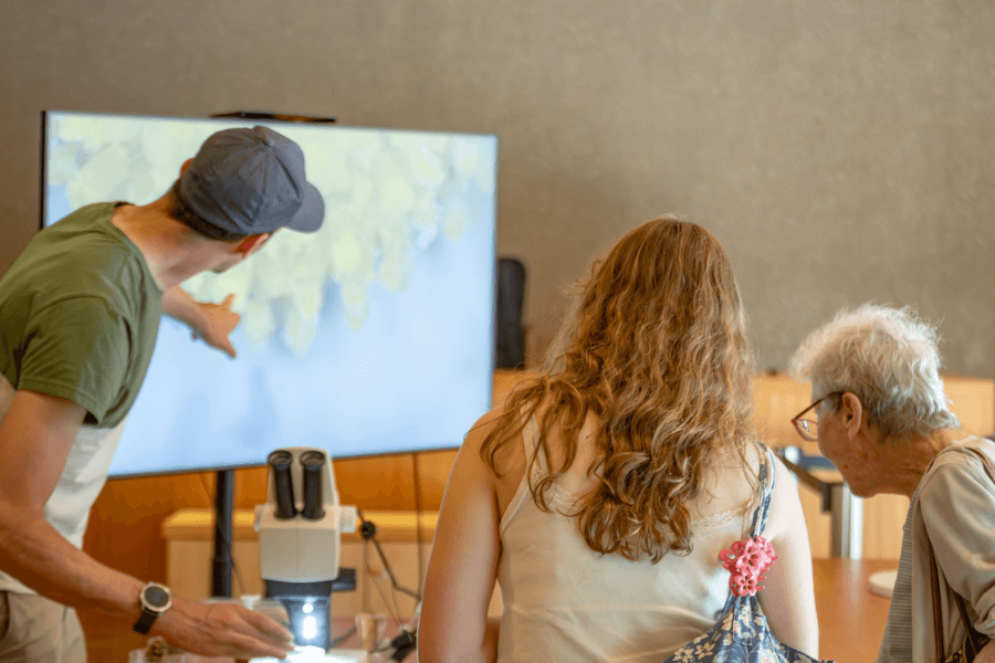 trois personnes regardant un écran