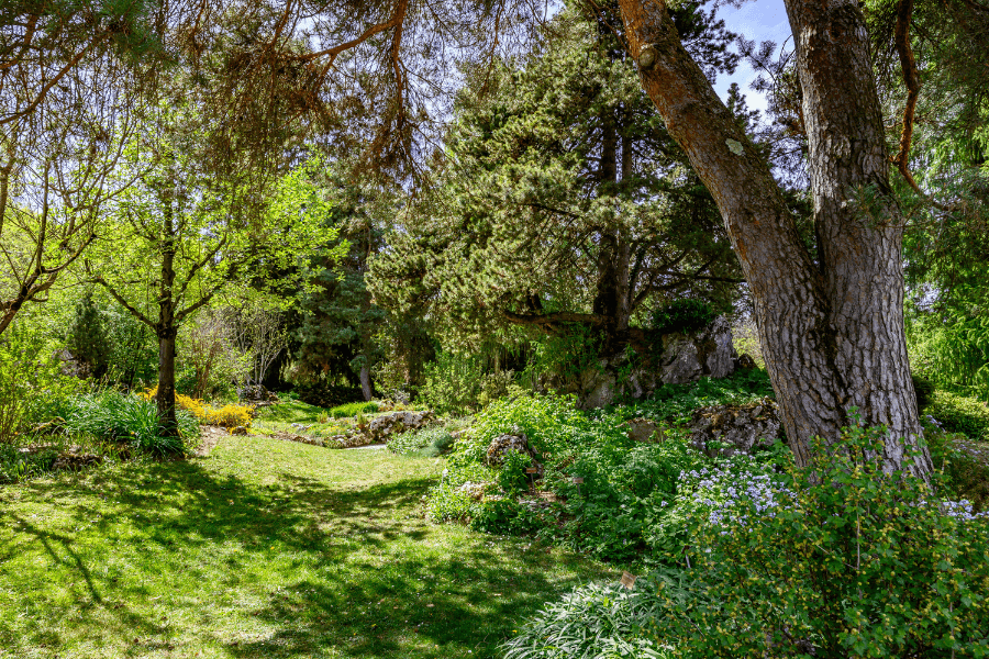 jardin botanique de Genève