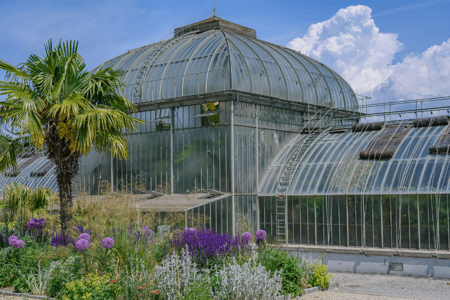 jardin d'hivers du jardin botanique de Genève