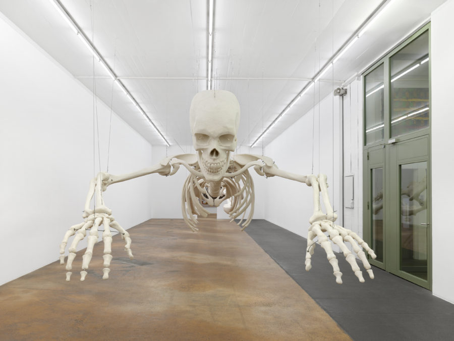 sculpture squelette géant suspendu dans salle d'exposition MAMCO