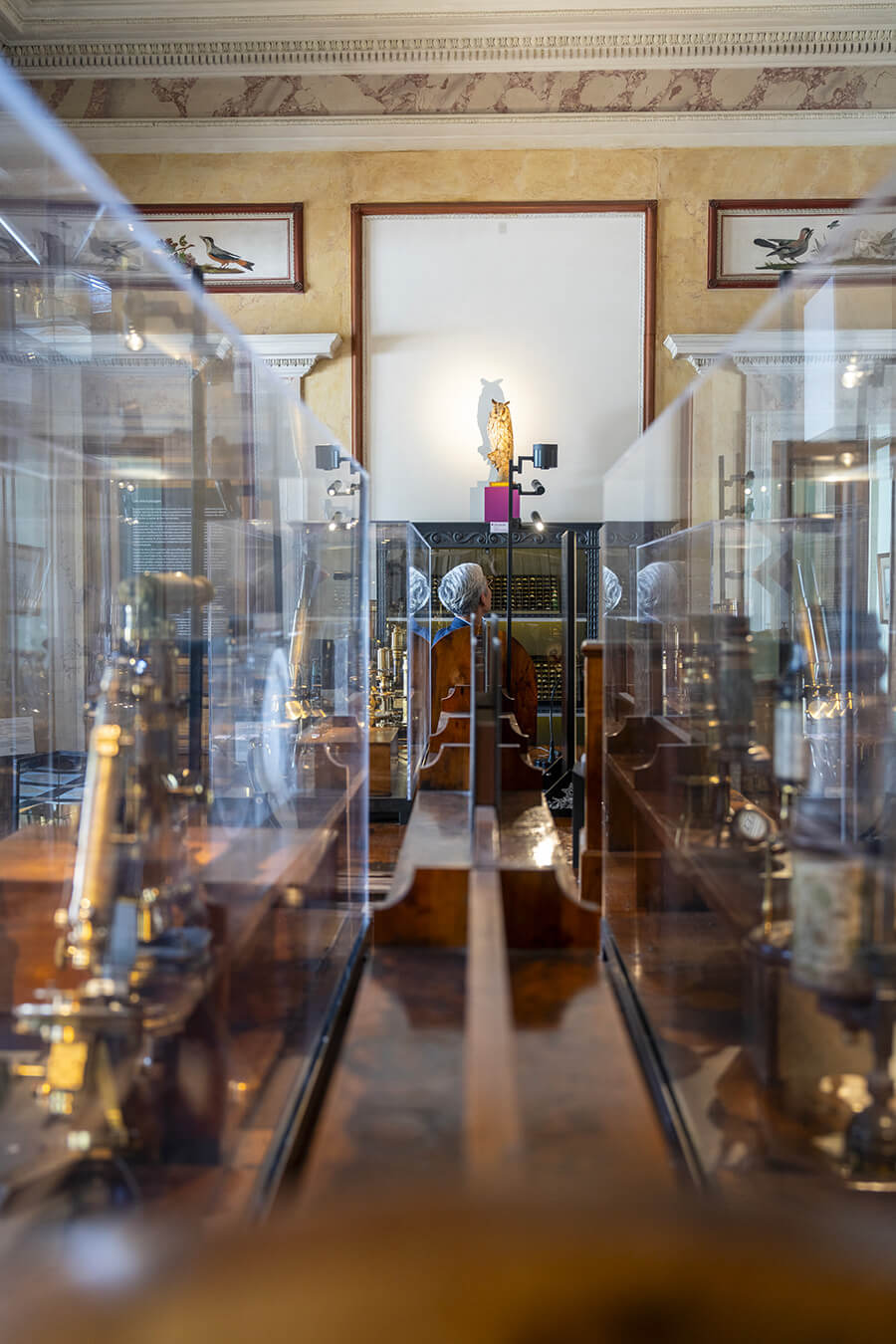 Musée d’histoire des sciences - Musées de Genève