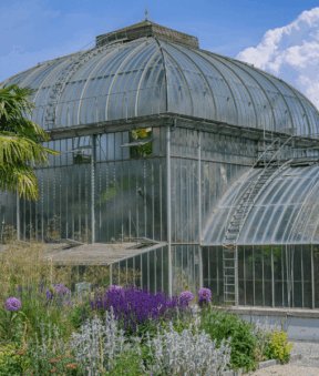 jardin d'hivers du jardin botanique de Genève