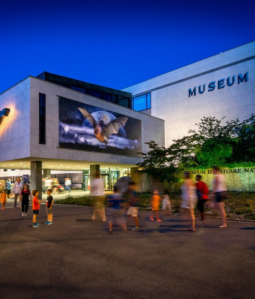 Façade du Muséum d'histoire naturelle de nuit